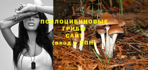 герыч Алексин